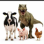 Buy #animaltwt