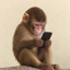 Buy apeonfone