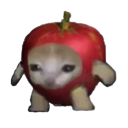Apple Cat ($ACAT) Live Price, Chart and Marketcap