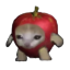 Apple Cat