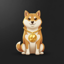 Aster INU
