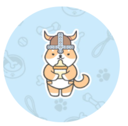 Baby Floki Inu (BFLOKI) Live Price, Chart and Marketcap