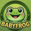 Baby Frog Coin