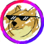 Buy Base DOG