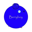 Berryboy Live Price, Chart and Marketcap