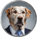 Big Dog Fink (BINK) Live Price, Chart and Marketcap