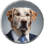 Big Dog Fink