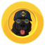 binancedog