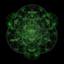 Bio Acceleration