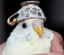 Buy birb
