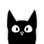 BLACKCAT