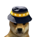 BNB DOGE (BOGE) Live Price, Chart and Marketcap
