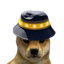 BNB DOGE