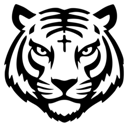 BNB Tiger OG (BNBTIGEROG) Live Price, Chart and Marketcap