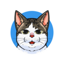 Bobby The Cat