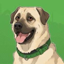 Boji Live Price, Chart and Marketcap