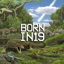 Buy Born in 19