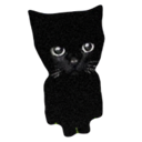 Bro the cat Live Price, Chart and Marketcap