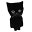 Bro the cat