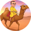 CAMEL