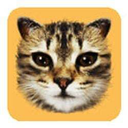 #cat Live Price, Chart and Marketcap