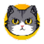 CatCoin Token