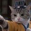 CatFu