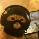 catwifmask (MASK) Live Price, Chart and Marketcap