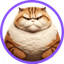 Buy Chonk