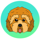 Cockapoo (CPOO) Live Price, Chart and Marketcap