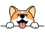 Corgidoge
