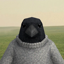 crowneck