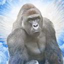 CTO Harambe Live Price, Chart and Marketcap