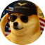 DegeCoin