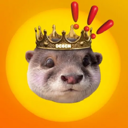 Degen the Otter Live Price, Chart and Marketcap