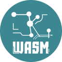ZKWASM Live Price, Chart and Marketcap