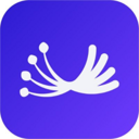 Dill (DL) Live Price, Chart and Marketcap
