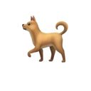 Dog Emoji On Solana (🐕) Live Price, Chart and Marketcap