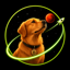 Dog Mars