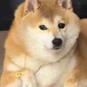 doge秽土转生版真名 (BAKA) Live Price, Chart and Marketcap
