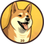 Dogecoin20