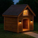 Doghouse Coin Live Price, Chart and Marketcap