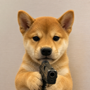 Dogwifgun Live Price, Chart and Marketcap