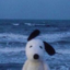 Buy Doug