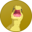 Duckereum