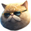 FAT CAT