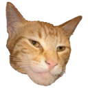Giga Cat (GCAT) Live Price, Chart and Marketcap