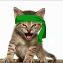 Green Kitten Crew (GKC) Live Price, Chart and Marketcap