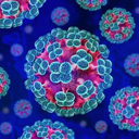 Hantavirus (HANTA) Live Price, Chart and Marketcap