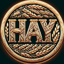 HayCoin